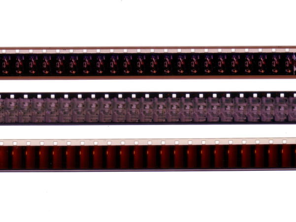 �W�~���t�B�����̎��